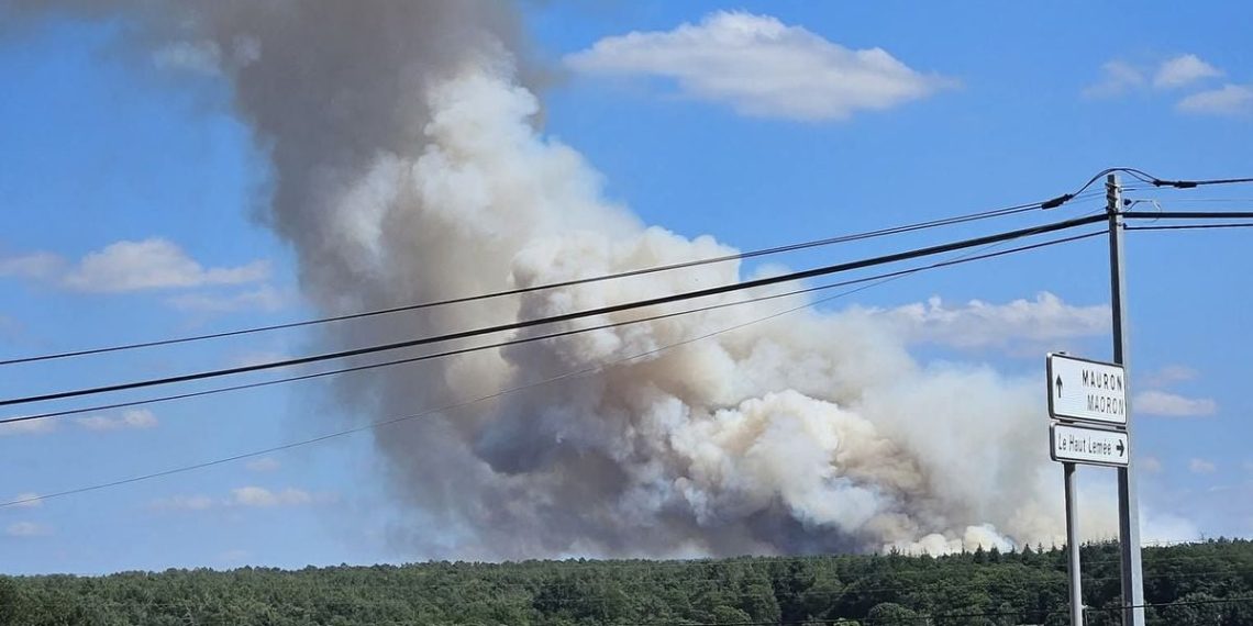 Bretagne : Un important feu commence à ravager la forêt de Brocéliande