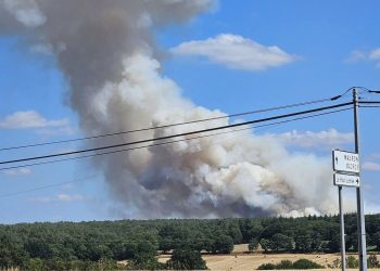 Bretagne : Un important feu commence à ravager la forêt de Brocéliande