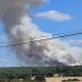 Bretagne : Un important feu commence à ravager la forêt de Brocéliande