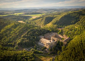 Abbaye de Fontfroide : la vigne contre les flammes