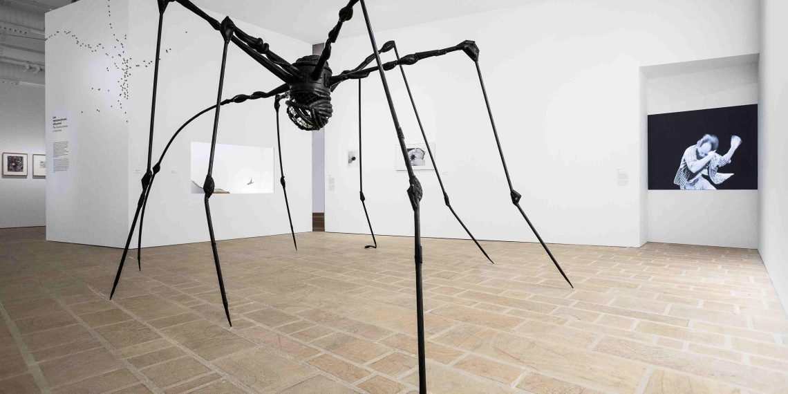 Fonds Hélène & Édouard Leclerc : une exposition au cœur du règne animal