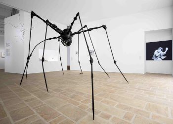 Fonds Hélène & Édouard Leclerc : une exposition au cœur du règne animal