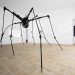 Fonds Hélène & Édouard Leclerc : une exposition au cœur du règne animal