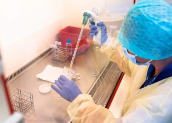 La justice interdit le tri embryonnaire en PMA et annule un essai autorisé par l’ANSM