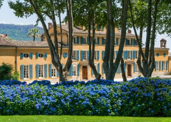 Viticulture : LVMH fait briller le rosé de Provence