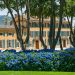 Viticulture : LVMH fait briller le rosé de Provence