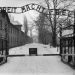 Mémorial de la Shoah : une exposition pour se rappeler de l’horreur d’Auschwitz