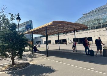 Où sont les arbres ? La mairie EELV du 12e arrondissement de Paris accusée… de ne pas être assez verte