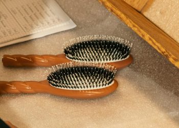La Bonne Brosse : les secrets d’une chevelure resplendissante