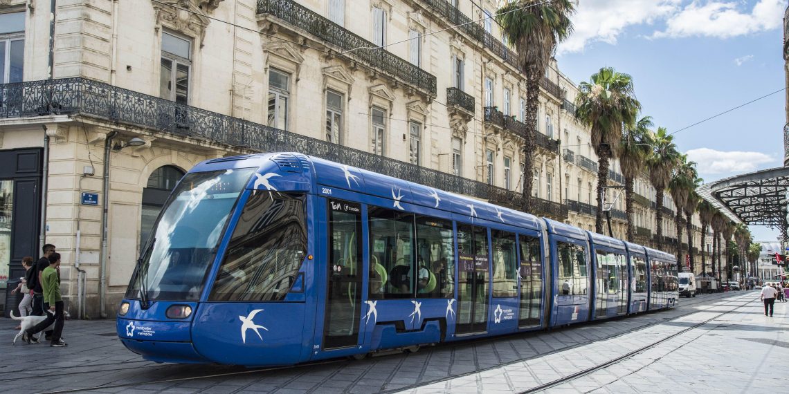 «Sale Arabe», «vendu» : un chauffeur de tramway poignardé par un Algérien à Montpellier