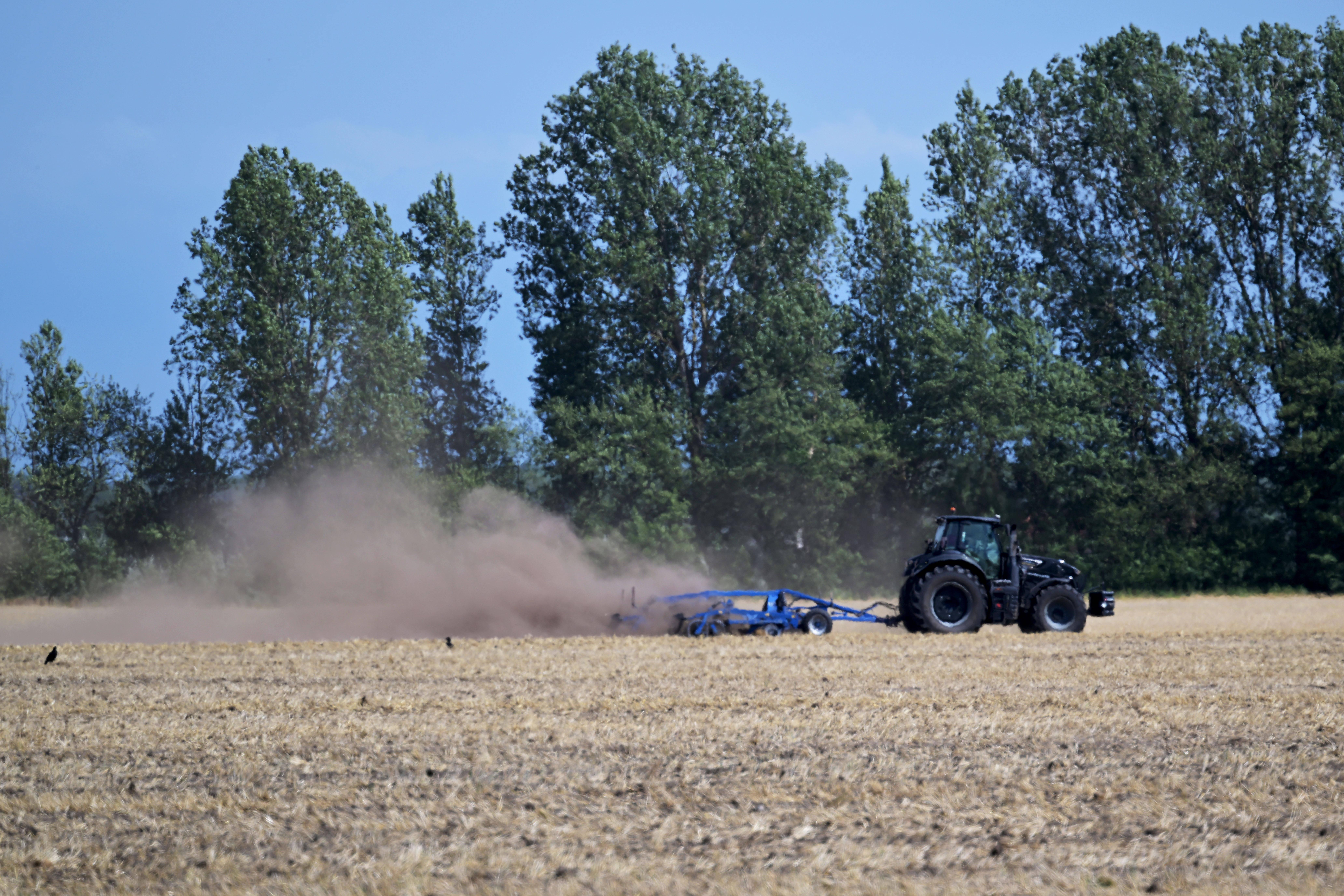 «Sauver la propriété de mon grand-père» : une cagnotte pour un jeune agriculteur franchit la barre des 100 000 euros