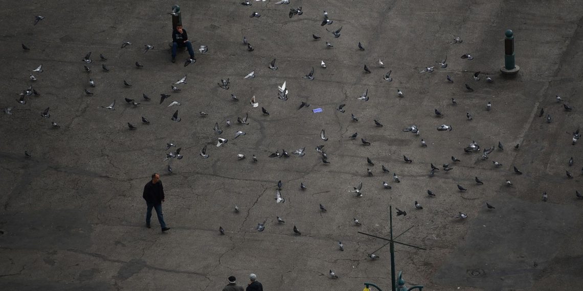 Suresnes : la mairie se dote d’un maïs contraceptif pour lutter contre les pigeons