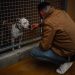 La SPA débordée par l’afflux d’animaux abandonnés cet été
