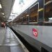 Canicule : pourquoi la SNCF annule certains trains