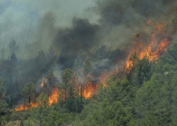Incendie dans l’Aude : une femme est morte, plus de 11.000 hectares partis en fumée