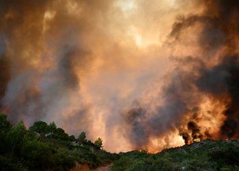 Incendie dans l’Aude : pourquoi les flammes se sont-elles propagées aussi rapidement ?
