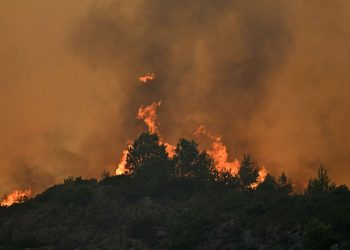 EN IMAGES – 13.000 hectares consumés, un mort… Dans l’Aude, l’incendie le plus dévastateur de l’été