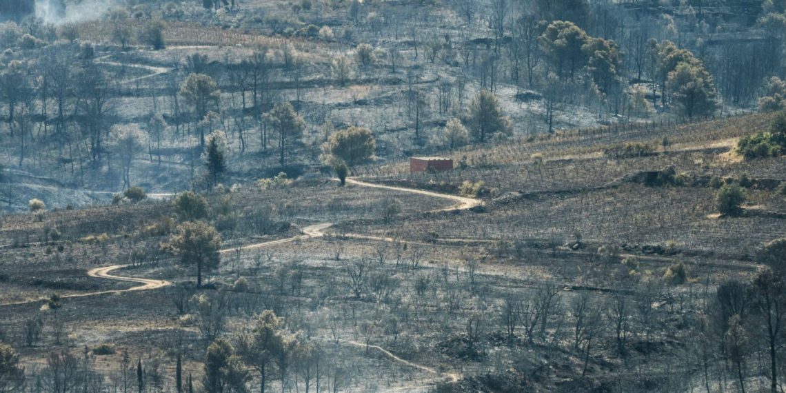 L’incendie dans l’Aude, pas encore fixé, est déjà le plus important du XXIe siècle