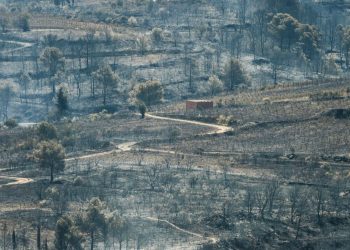 L’incendie dans l’Aude, pas encore fixé, est déjà le plus important du XXIe siècle