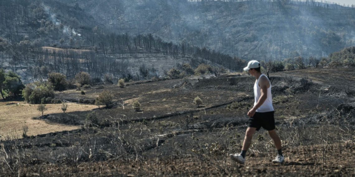 Incendie dans l’Aude :  les sinistrés racontent l’ampleur de ce gigantesque feu