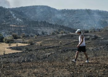 Incendie dans l’Aude :  les sinistrés racontent l’ampleur de ce gigantesque feu