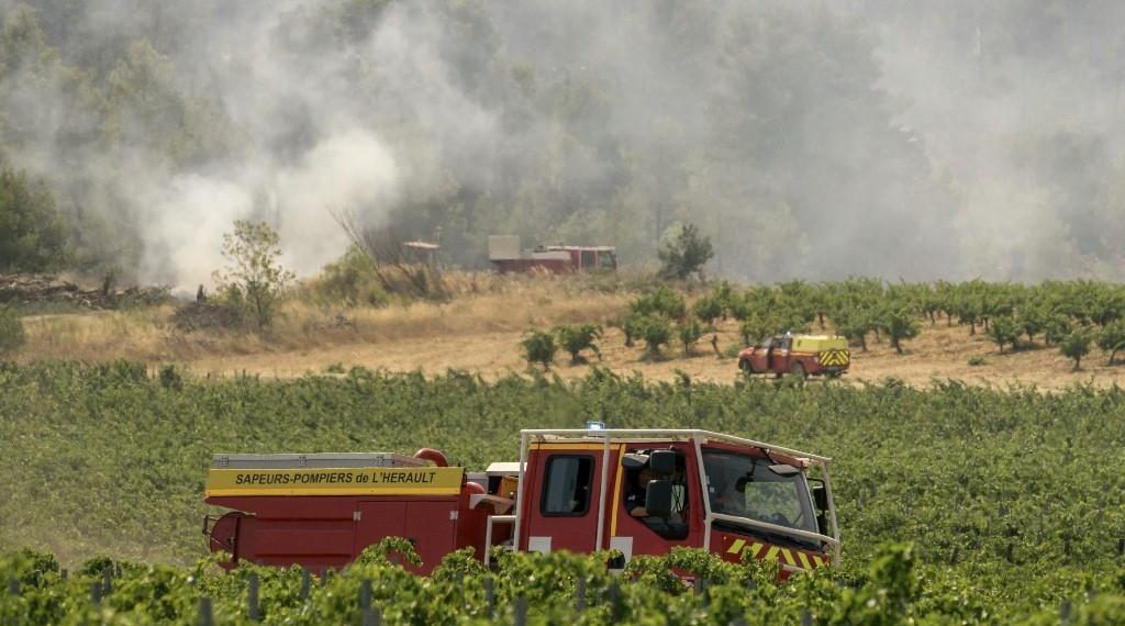 Franck Saillan, patron du syndicat des vignerons de l’Aude : «Cet incendie, ça fait 20 ans qu’on l’annonce»
