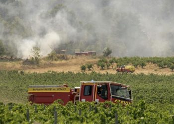 Franck Saillan, patron du syndicat des vignerons de l’Aude : «Cet incendie, ça fait 20 ans qu’on l’annonce»