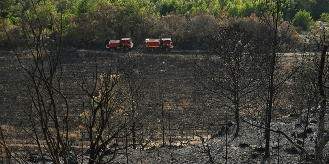 Incendie fixé dans l’Aude : après le passage des flammes, les vignerons découvrent les dégâts