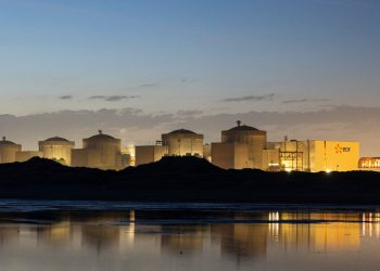 La centrale nucléaire de Gravelines paralysée par des méduses