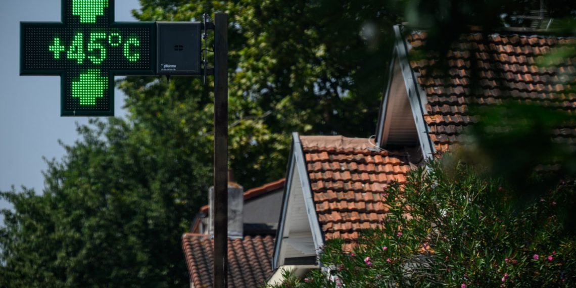 Toulouse : les feuilles mortes se ramassent à la pelle, particulièrement cette année, avec la canicule