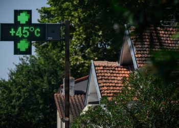 Toulouse : les feuilles mortes se ramassent à la pelle, particulièrement cette année, avec la canicule