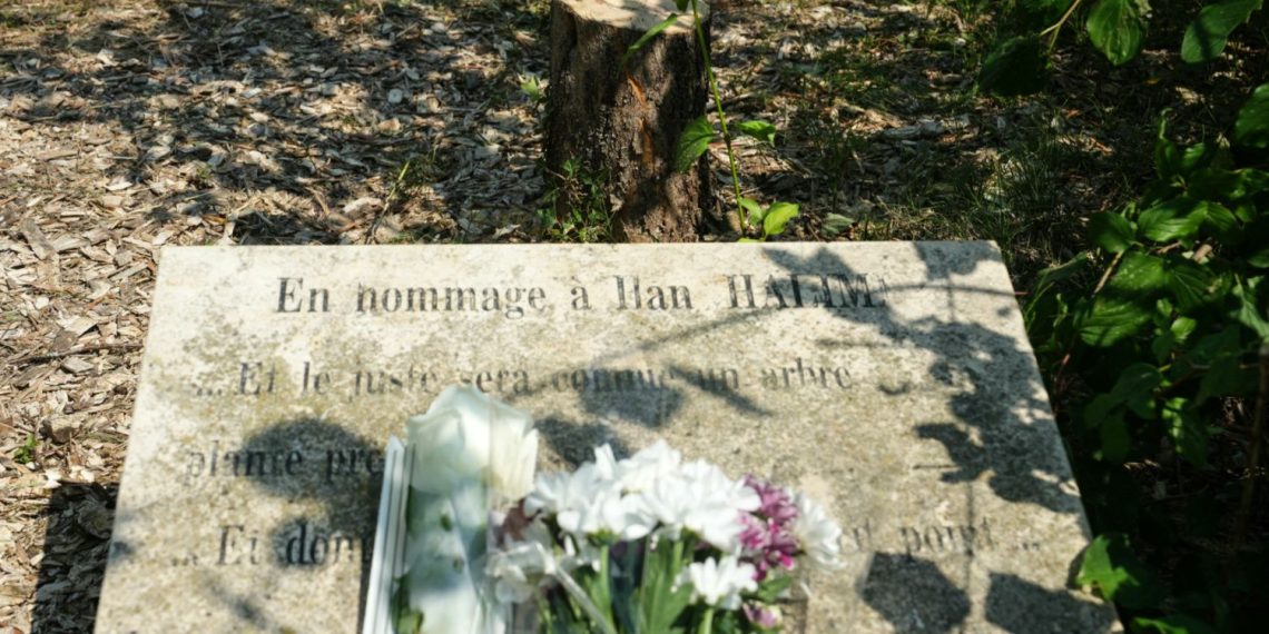 Cannes : la mairie plante un olivier en mémoire d’Ilan Halimi, après l’appel d’Alain Jakubowicz