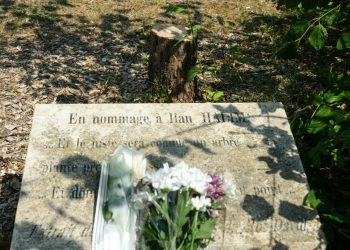 Cannes : la mairie plante un olivier en mémoire d’Ilan Halimi, après l’appel d’Alain Jakubowicz