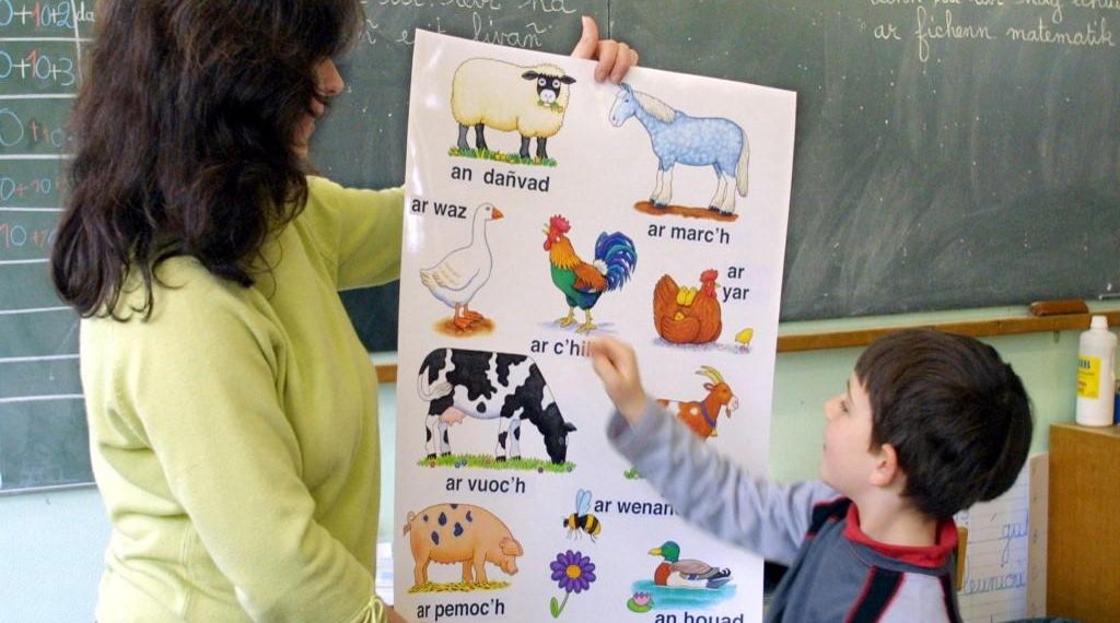 À l’école, les langues régionales reprennent la parole