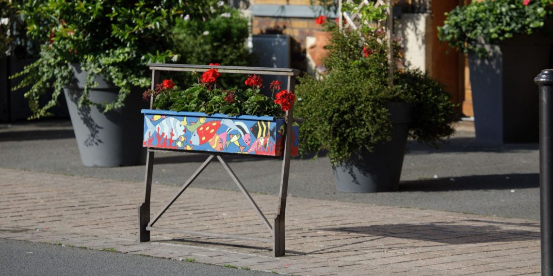 Canicule : comment protéger et arroser vos plantes ?
