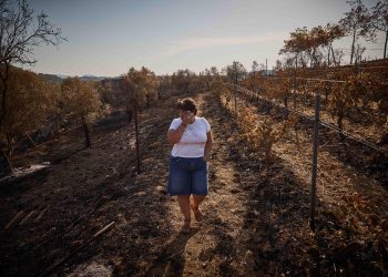 L’incendie historique dans l’Aude «pourrait avoir une cause criminelle», selon le procureur