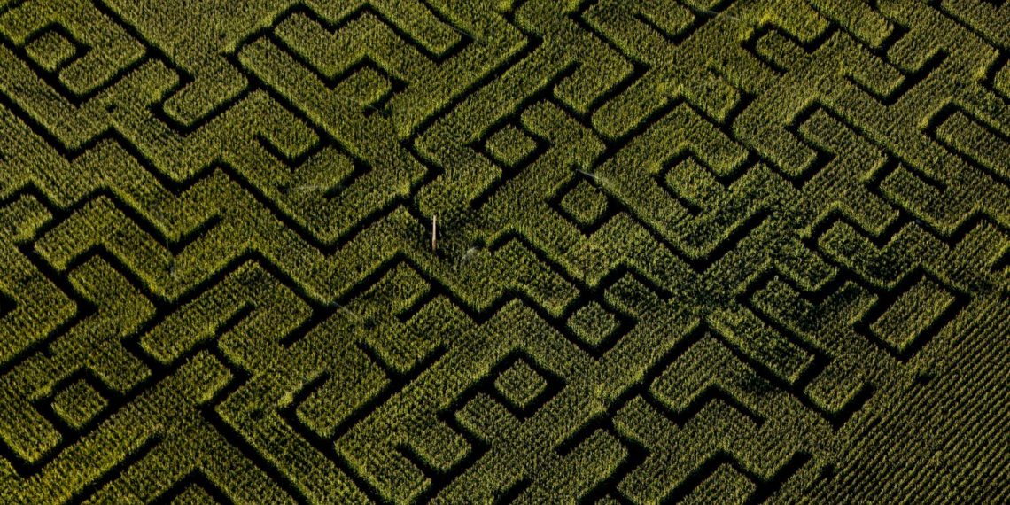 Alsace : pour défendre l’agriculture et les produits locaux, un agriculteur a créé un labyrinthe «didactique»