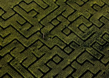 Alsace : pour défendre l’agriculture et les produits locaux, un agriculteur a créé un labyrinthe «didactique»