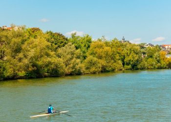 Neuilly-sur-Marne : la police traque les baignades sauvages dans les zones interdites