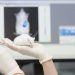 Maladie d’Alzheimer : une expérience lumineuse prometteuse sur des souris à Strasbourg