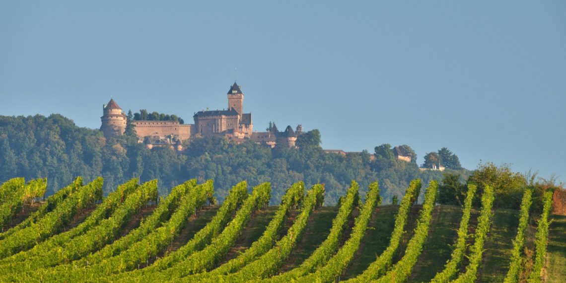 Le château du Haut-Kœnigsbourg en Alsace, une plongée dans le Moyen-Âge