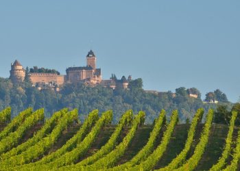 Le château du Haut-Kœnigsbourg en Alsace, une plongée dans le Moyen-Âge