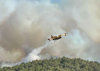 Incendie dans l’Aude : sur place, l’ampleur de la catastrophe marquera durablement les esprits