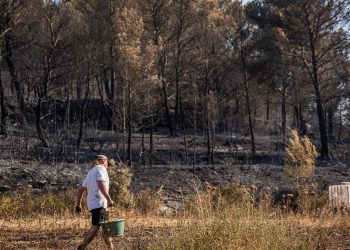 Incendie dans l’Aude : «Les gens sont vidés, abattus», à Saint-Laurent-de-la-Cabrerisse, la vie s’est arrêtée