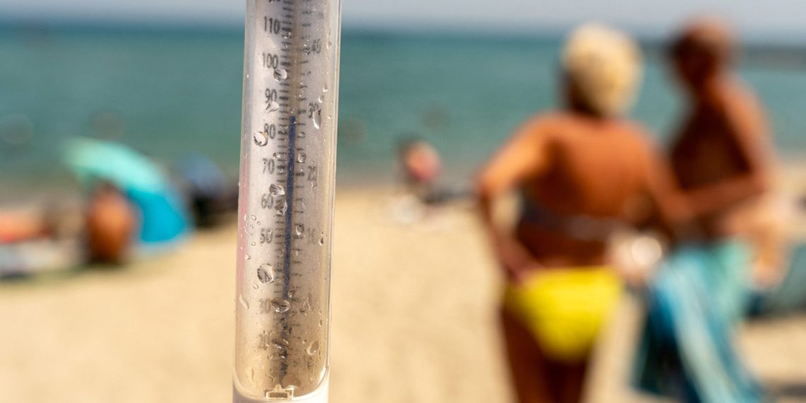 «Il fait trop chaud» : dans les Landes, les campeurs en souffrance face au pic de chaleur