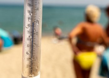 «Il fait trop chaud» : dans les Landes, les campeurs en souffrance face au pic de chaleur