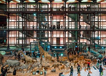 «Des hackers avides d’argent» : quand les cybercriminels s’attaquent aux musées français