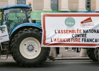 Agriculteurs en colère : de nouvelles mobilisations prévues cette semaine après la censure de la loi Duplomb