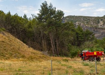 Incendie dans l’Aude : plus de 430 pompiers mobilisés près de la commune de Ribaute