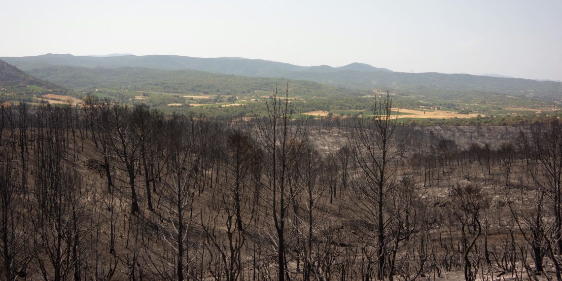 Incendie dans l’Aude : les habitants de la région bouleversés face à l’ampleur de la catastrophe